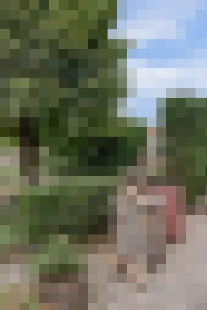 Molenstraat 15 Standdaarbuiten thumbnail 36