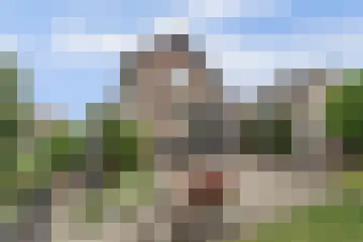Molenstraat 15 Standdaarbuiten thumbnail 41