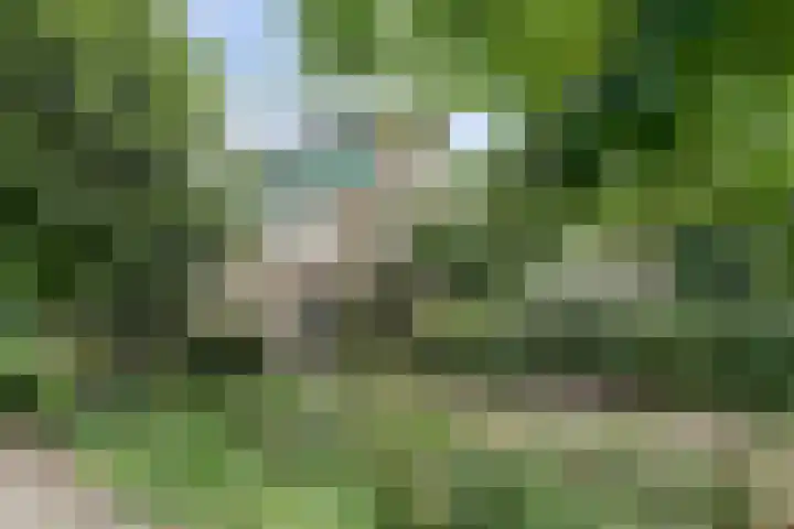 Molenstraat 15 Standdaarbuiten thumbnail 42