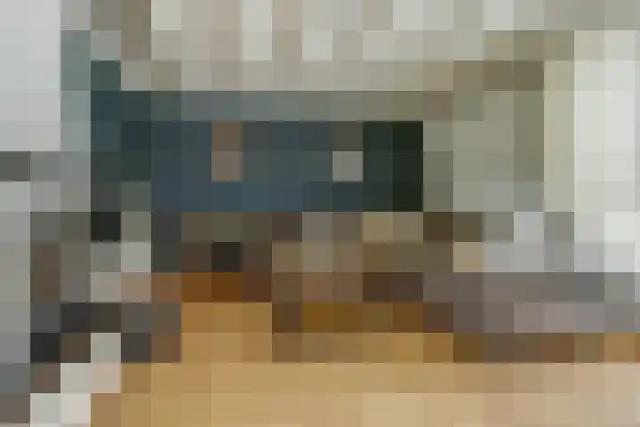 Molenstraat 15 Standdaarbuiten thumbnail 6