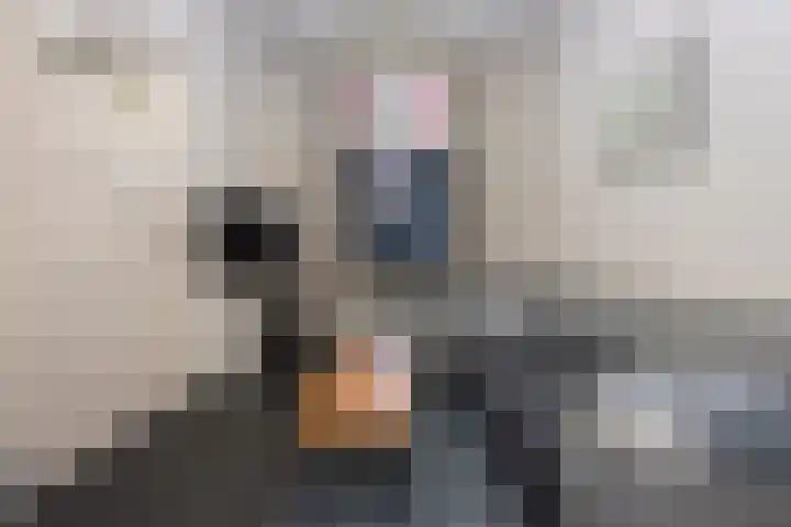 Molenstraat 15 Tilburg thumbnail 10