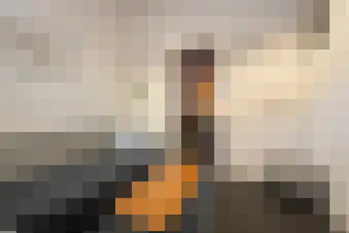 Molenstraat 15 Tilburg thumbnail 11