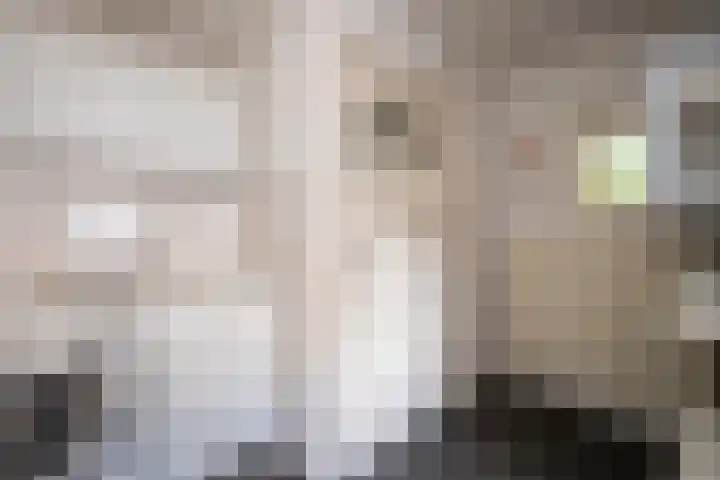 Molenstraat 15 Tilburg thumbnail 20