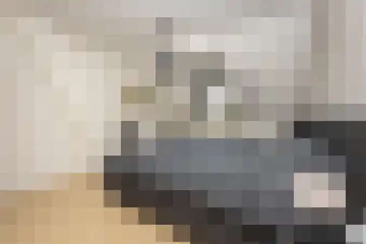 Molenstraat 15 Tilburg thumbnail 24