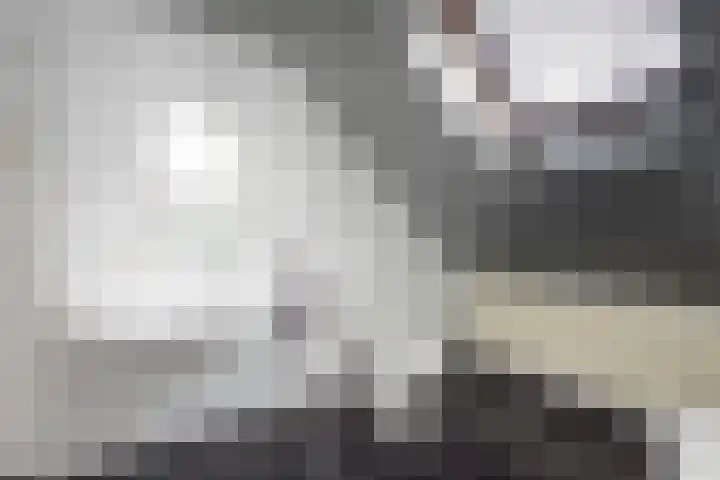 Molenstraat 15 Tilburg thumbnail 26
