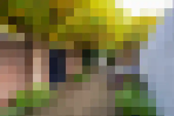 Molenstraat 15 Tilburg thumbnail 37
