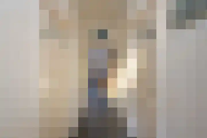 Molenstraat 15 Tilburg thumbnail 4