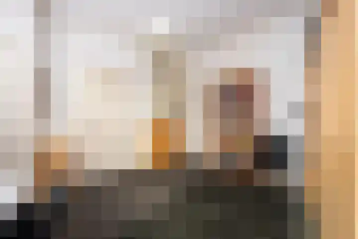 Molenstraat 15 Tilburg thumbnail 5