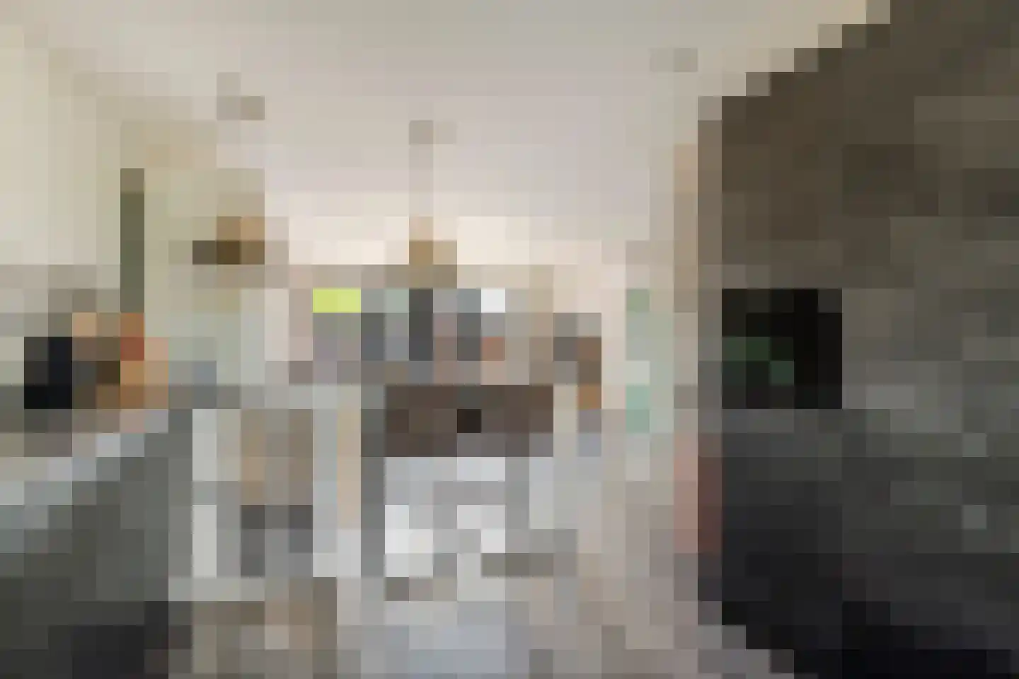 Molenstraat 15 Varik thumbnail 10