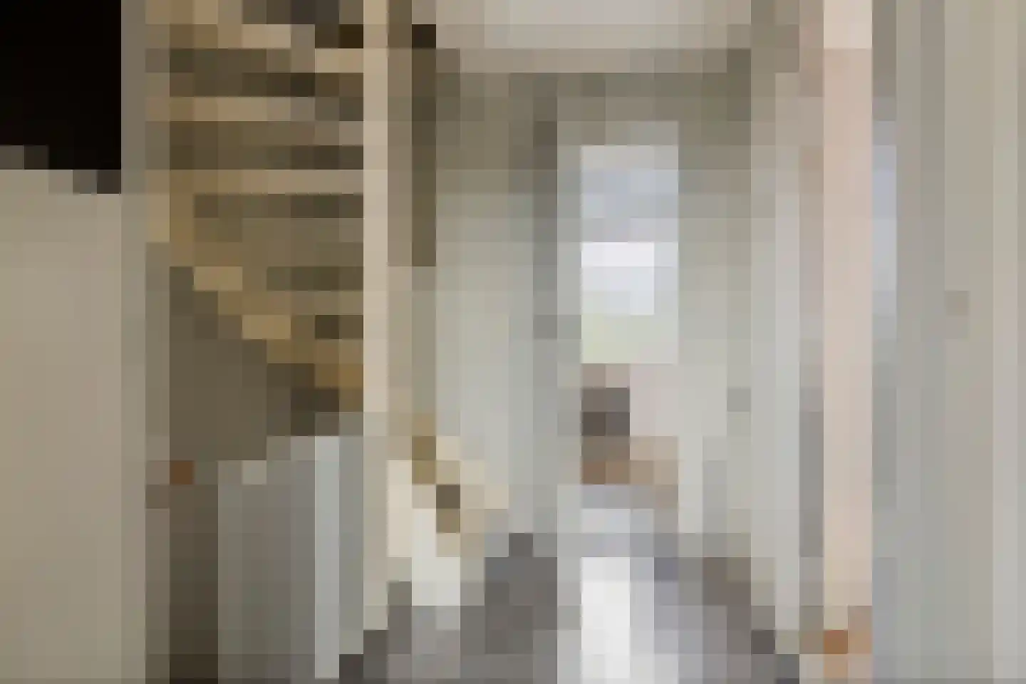 Molenstraat 15 Varik thumbnail 13