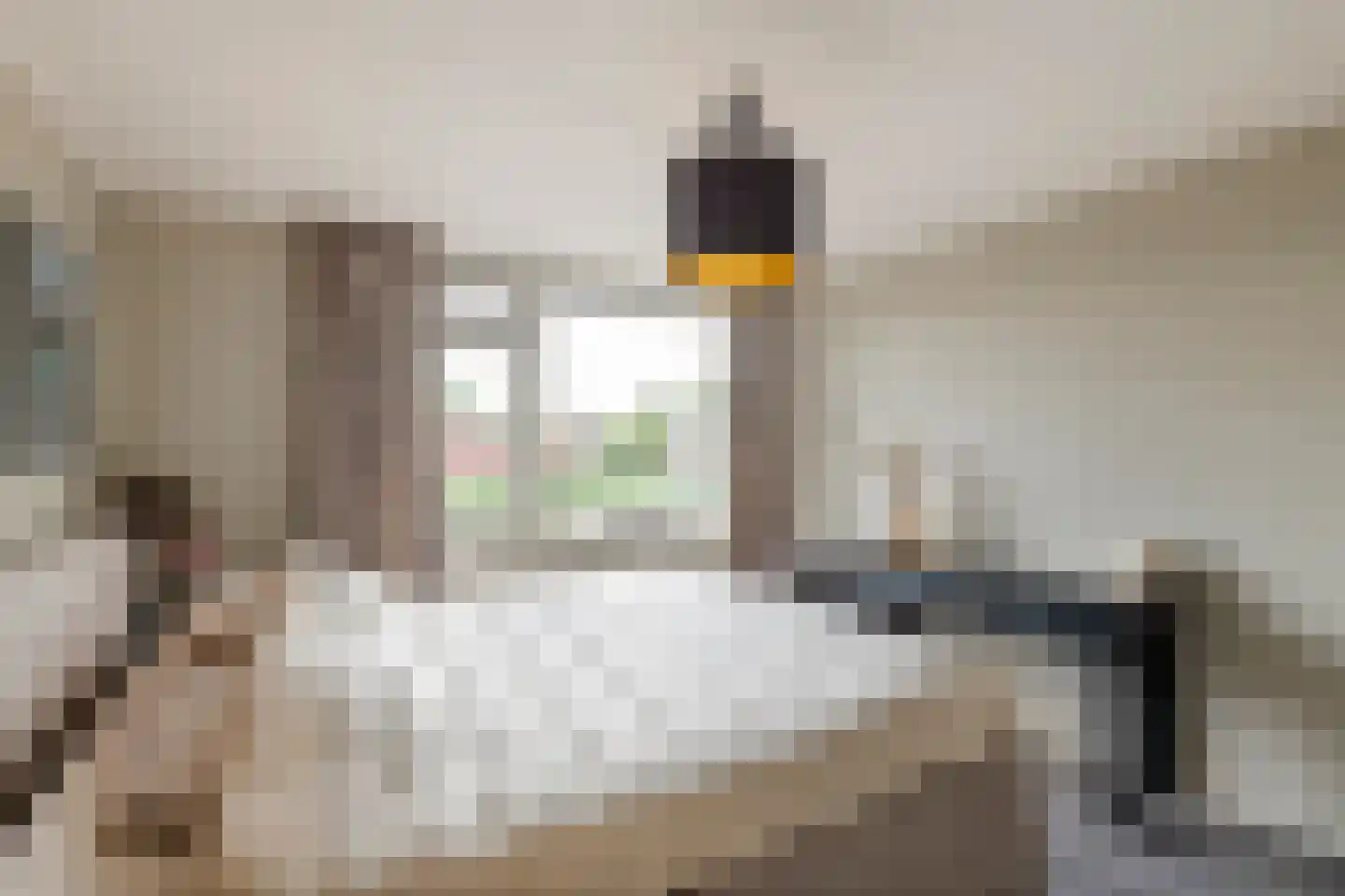 Molenstraat 15 Varik thumbnail 17