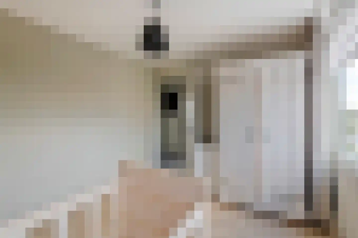 Molenstraat 15 Varik thumbnail 19