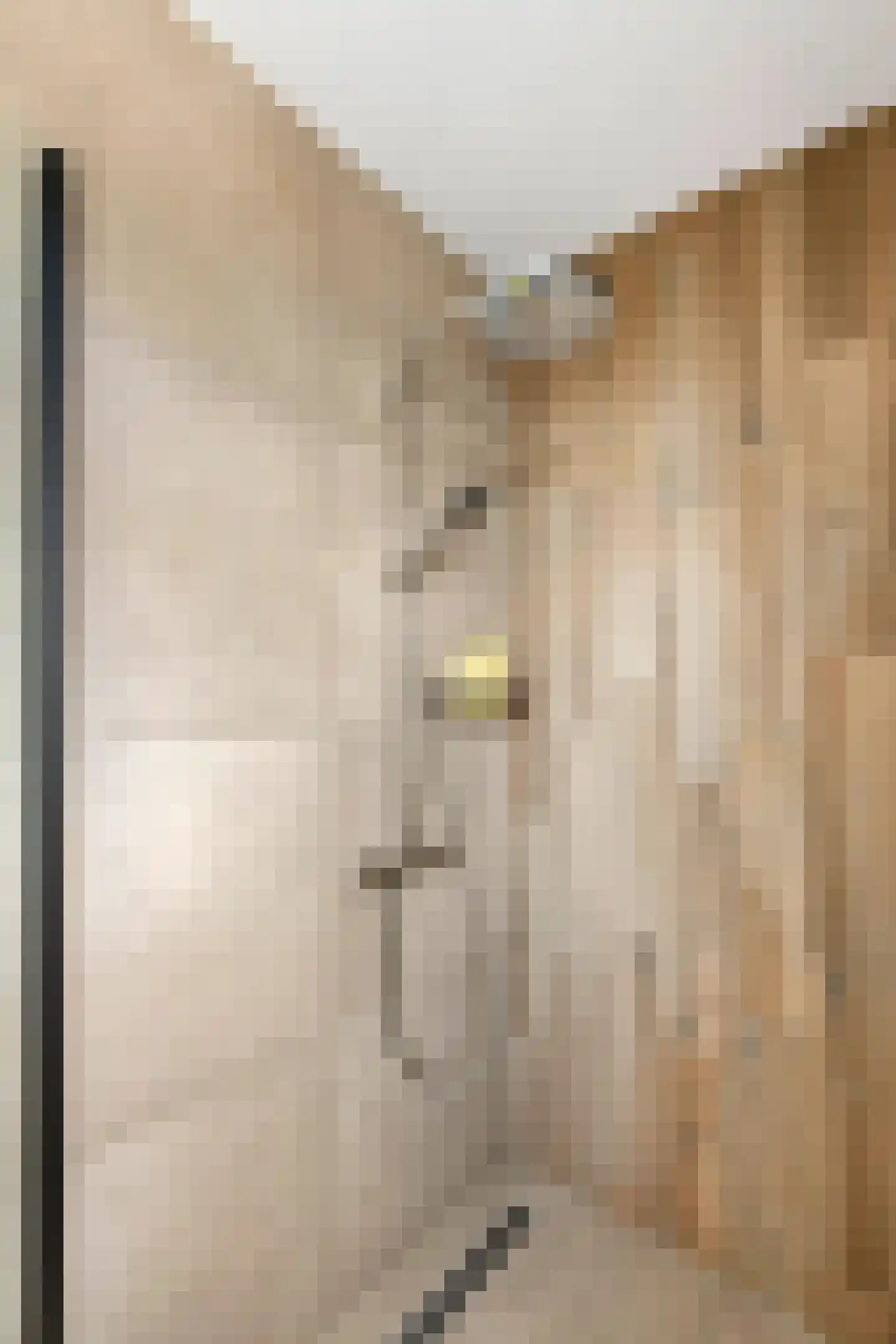 Molenstraat 15 Varik thumbnail 21