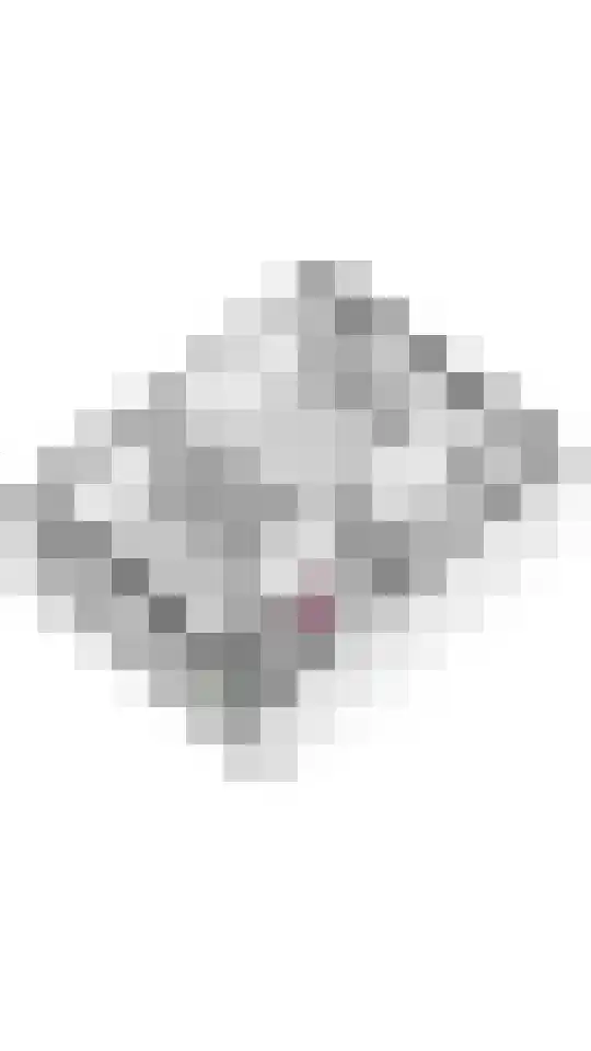 Molenstraat 15 Varik thumbnail 37