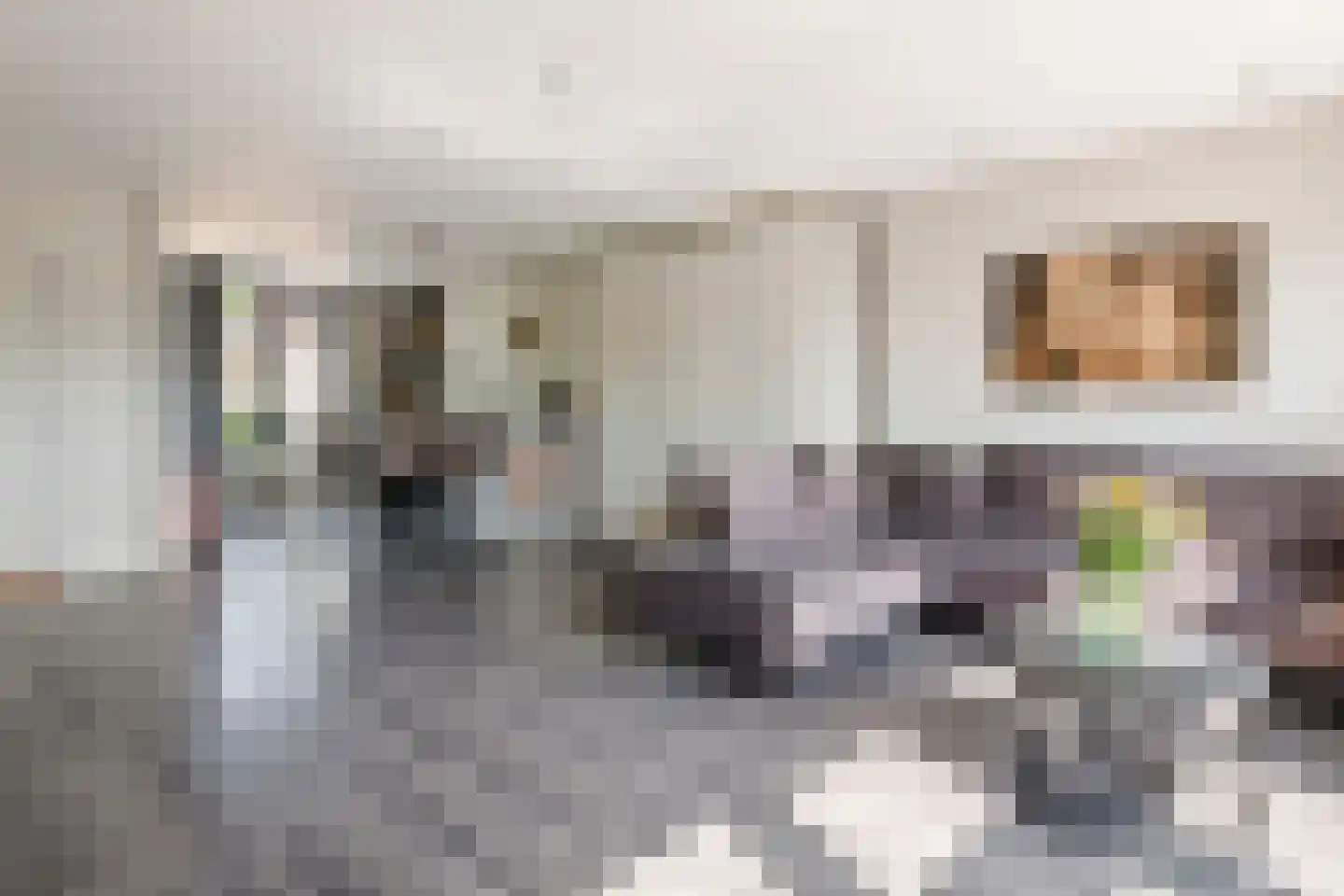 Molenstraat 15 Varik thumbnail 5