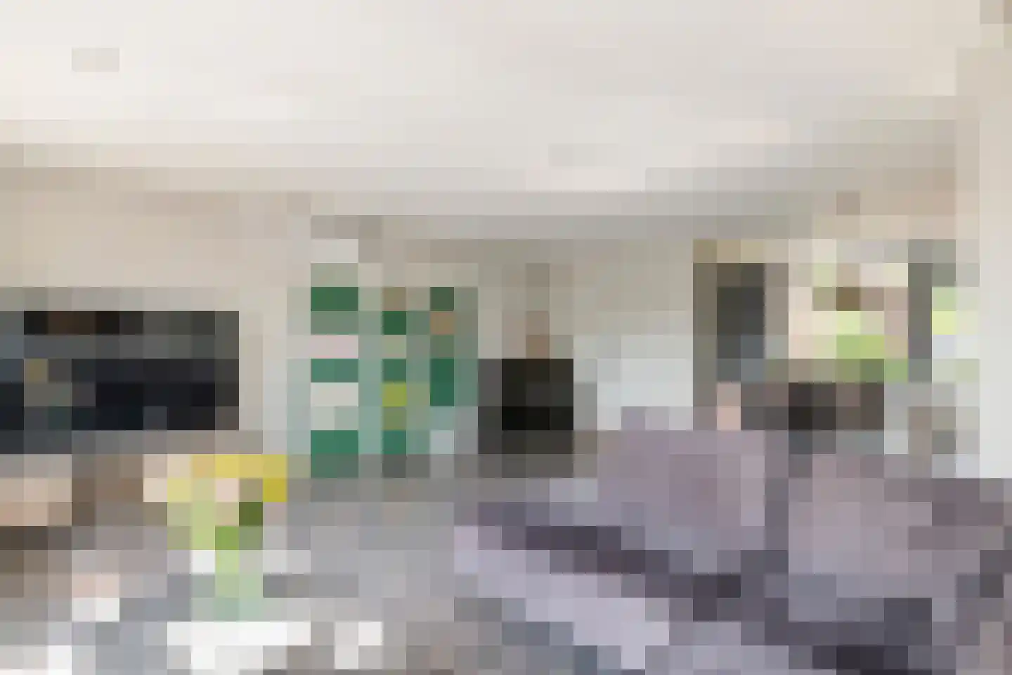 Molenstraat 15 Varik thumbnail 6