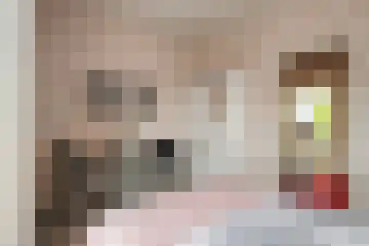 Molenstraat 15 Woerden thumbnail 15