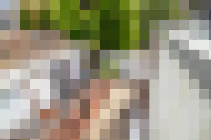 Molenstraat 15 Woerden thumbnail 23
