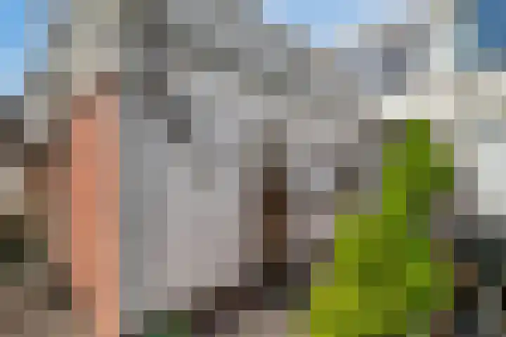 Molenstraat 15 Woerden thumbnail 26