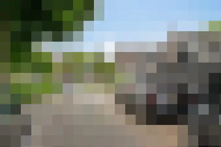 Molenstraat 15 Woerden thumbnail 30