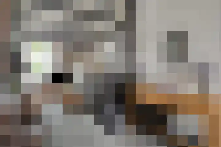 Molenstraat 15 Woerden thumbnail 5