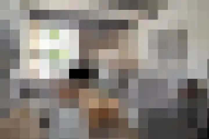 Molenstraat 15 Woerden thumbnail 6