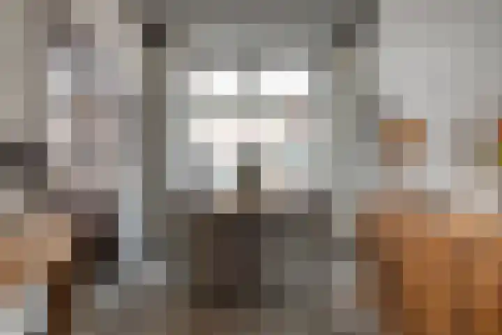 Molenstraat 15 Woerden thumbnail 8