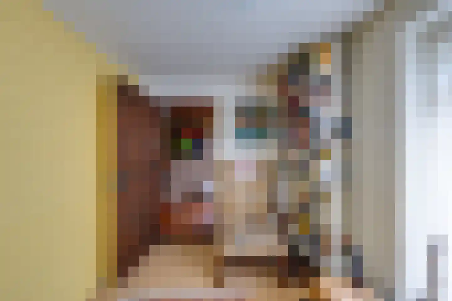 Molenstraat 153 Fijnaart thumbnail 15