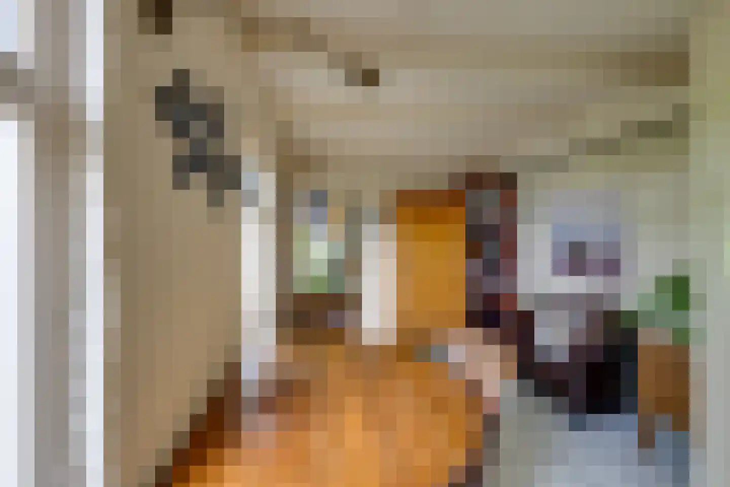 Molenstraat 153 Fijnaart thumbnail 24