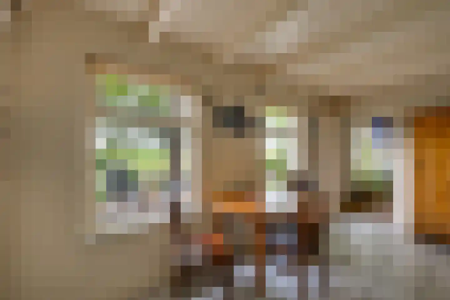 Molenstraat 153 Fijnaart thumbnail 25