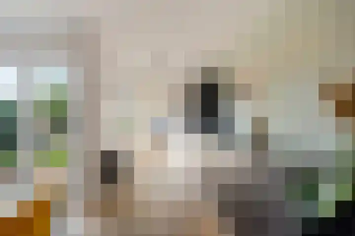 Molenstraat 153 Zoetermeer thumbnail 21