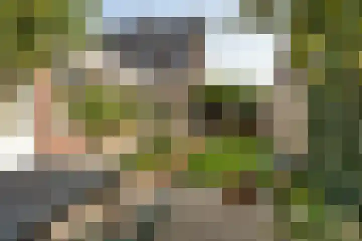 Molenstraat 153 Zoetermeer thumbnail 31