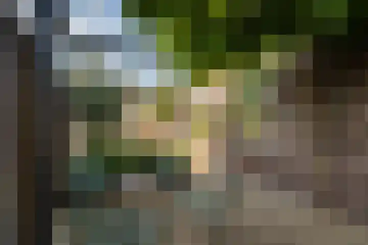 Molenstraat 153 Zoetermeer thumbnail 33