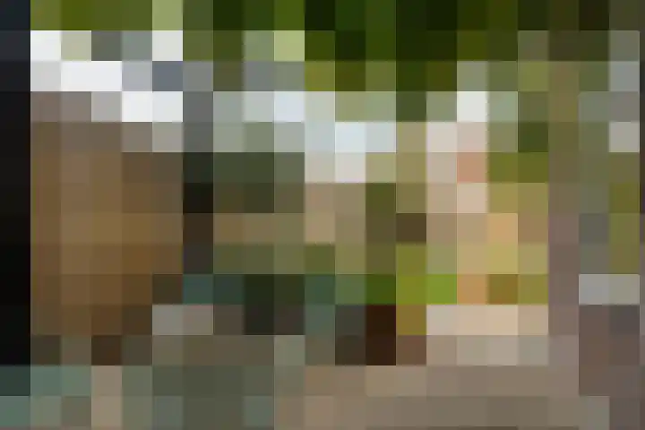 Molenstraat 153 Zoetermeer thumbnail 34