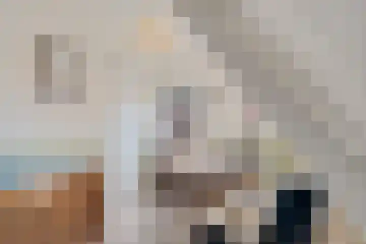 Molenstraat 153 Zoetermeer thumbnail 43