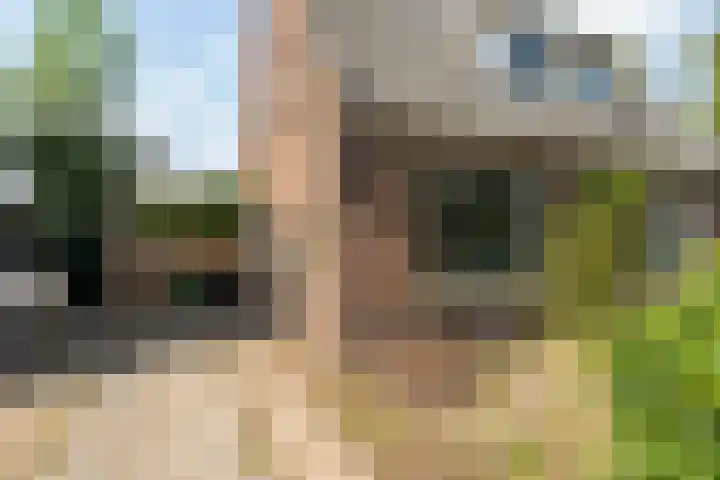 Molenstraat 153 Zoetermeer thumbnail 6