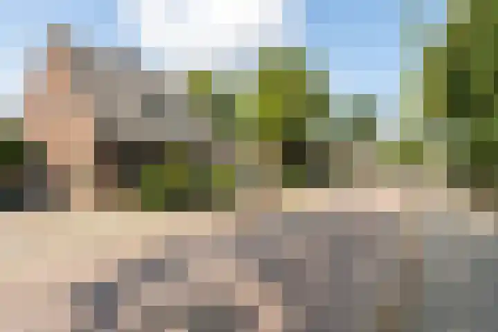 Molenstraat 153 Zoetermeer thumbnail 8