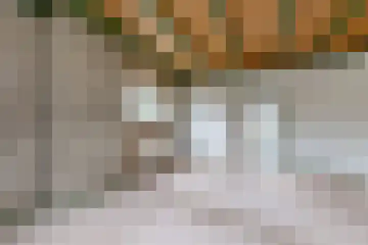 Molenstraat 155 Fijnaart thumbnail 10