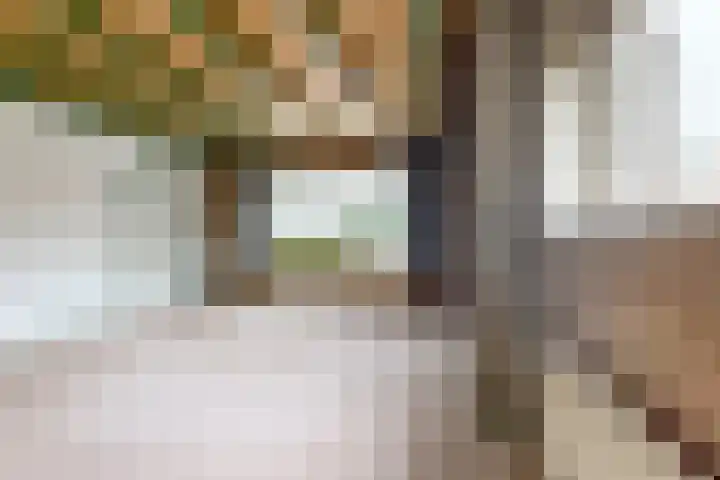 Molenstraat 155 Fijnaart thumbnail 12