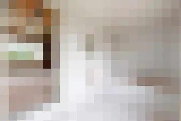 Molenstraat 155 Fijnaart thumbnail 13