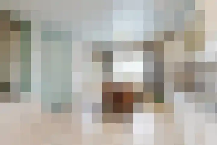 Molenstraat 155 Fijnaart thumbnail 20