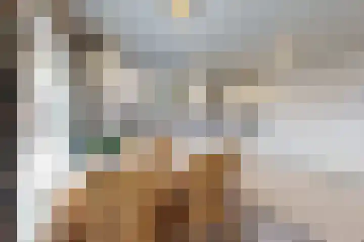 Molenstraat 155 Fijnaart thumbnail 23