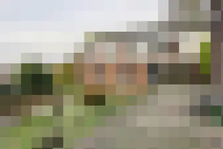 Molenstraat 155 Fijnaart thumbnail 38