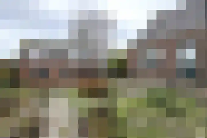 Molenstraat 155 Fijnaart thumbnail 39