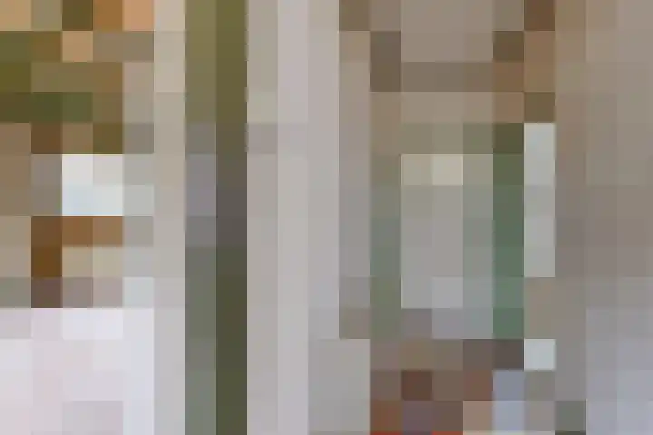 Molenstraat 155 Fijnaart thumbnail 6