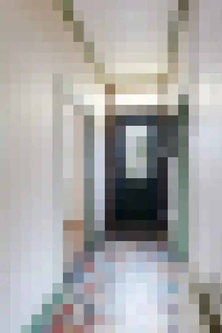 Molenstraat 155 Fijnaart thumbnail 7