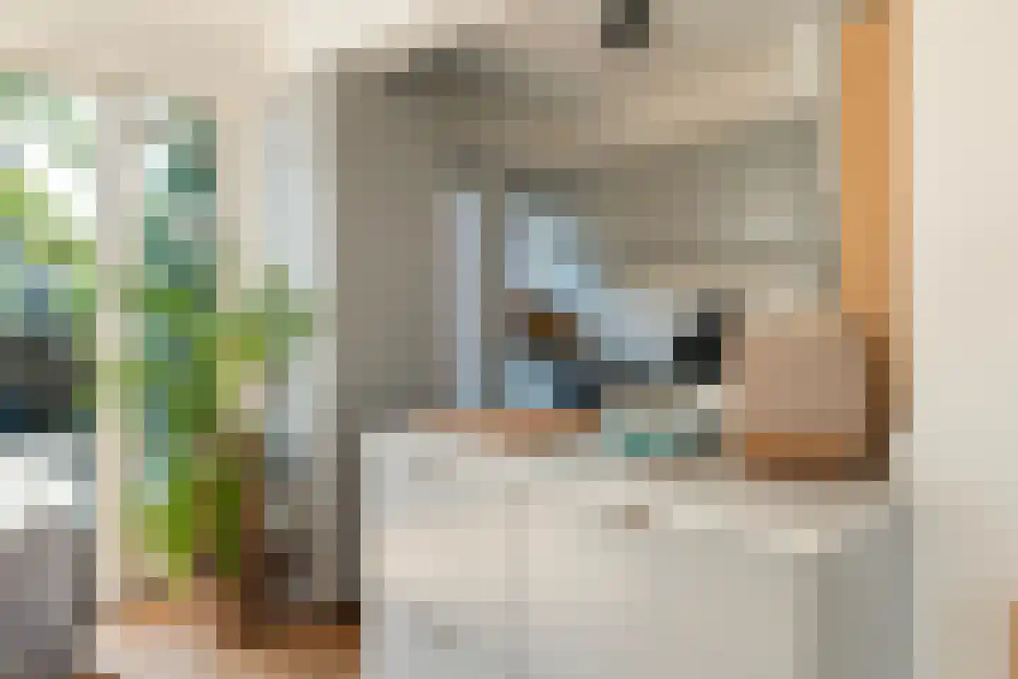 Molenstraat 158 Rotterdam thumbnail 10