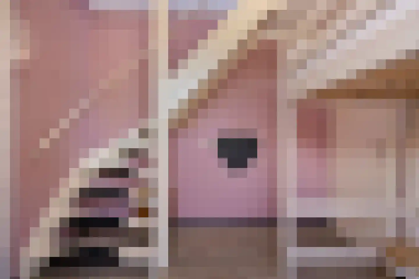 Molenstraat 159 A Oss thumbnail 13