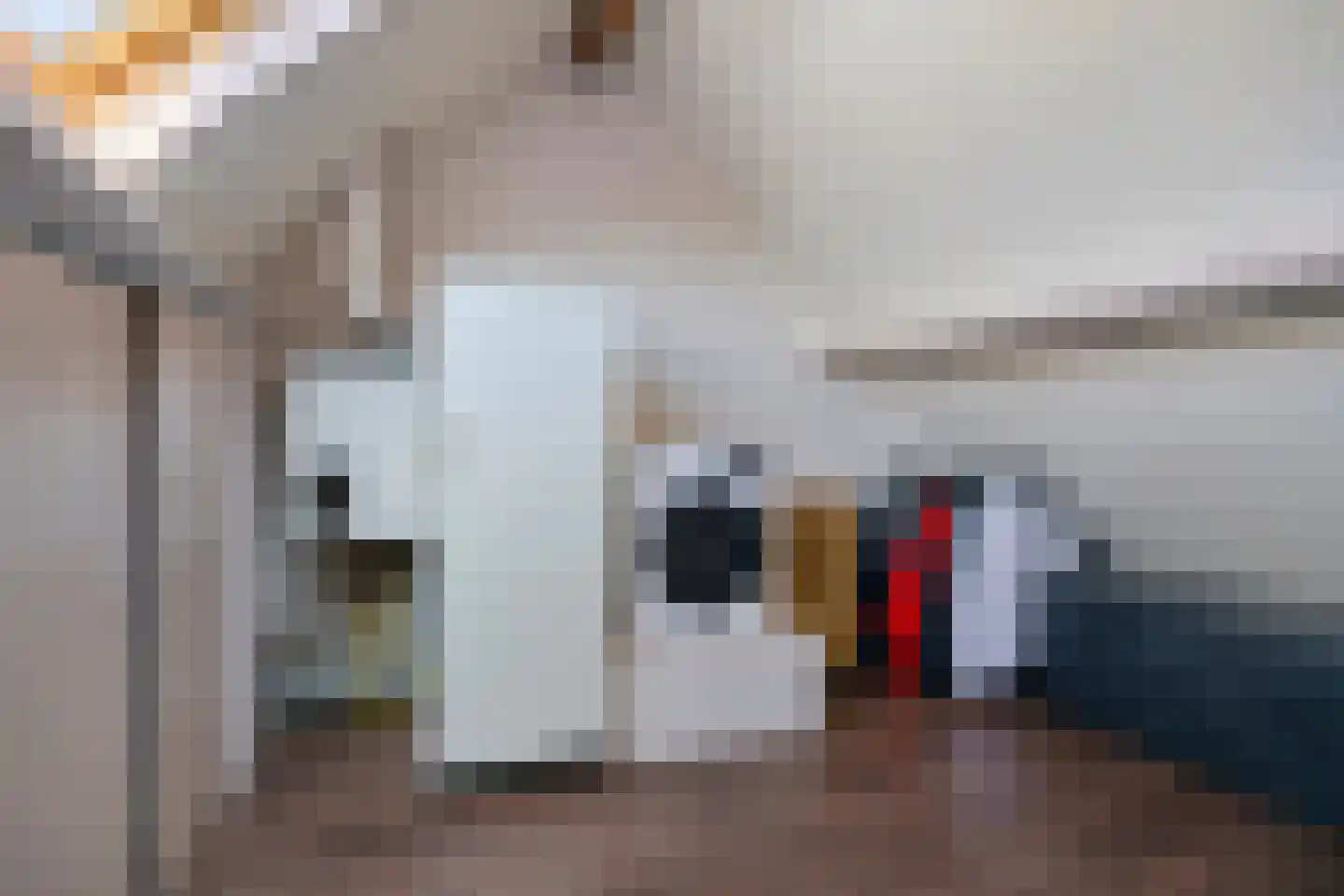 Molenstraat 159 A Oss thumbnail 18