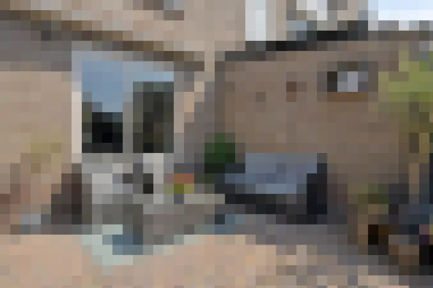 Molenstraat 159 A Oss thumbnail 20